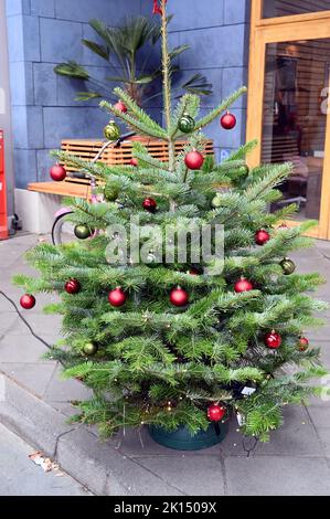 Köln, Deutschland. 15. September 2022. Ein Weihnachtsbaum, der mit roten Kugeln geschmückt ist Credit: Horst Galuschka/dpa/Alamy Live News Stockfoto