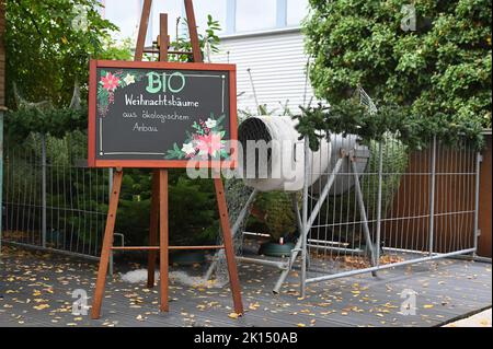 Köln, Deutschland. 15. September 2022. Zeichen Weihnachtsbäume aus biologischem Anbau Kredit: Horst Galuschka/dpa/Alamy Live News Stockfoto