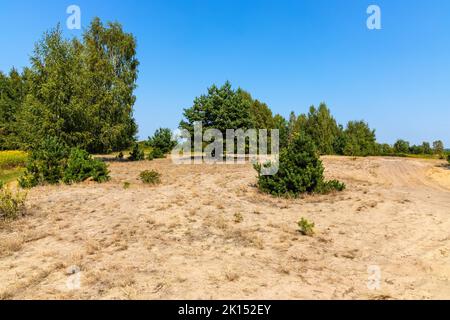 Sanddüne Wydma Pekatka mit seltener Vegetation mit Blick auf Bagno Calowanie Swamp Wildreservat in Podblel Dorf südlich von Warschau in Mazovia Region Stockfoto