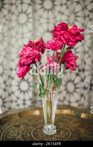 Sterbende magenta-rosa Pfingstrosen-Blumen in Kristallvase auf verzierten Messingtablett-Tisch mit grau gemustertem Vorhang im Hintergrund Stockfoto