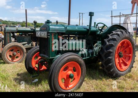 West Bay.Dorset.Vereinigtes Königreich.Juni 12. 2022.Fordson Modell N Standard-Traktoren sind auf der West Bay Vintage Rallye zu sehen Stockfoto