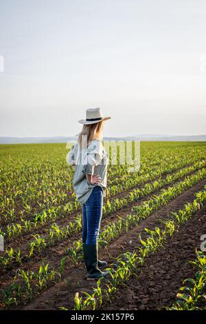Stolzer zufriedener Landwirt blickt auf Maisfeld in Kulturland. Frau mit Strohhut, die auf dem landwirtschaftlichen Feld steht Stockfoto
