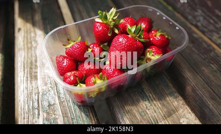 Reife, saftige Erdbeere aus einer Kiste, die auf einem Bio-Bauernhof angebaut wird. Stockfoto