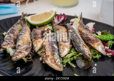 Ein Teller mit nur gegrillten Sardinen, serviert in einem spanischen Restaurant. Stockfoto