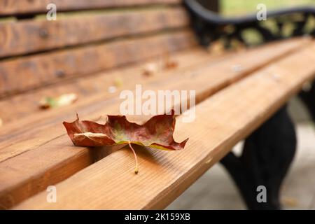 Herbstsaison, gefallenes Ahornblatt auf Holzbank im Stadtpark Stockfoto