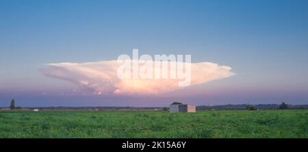 Cumulonimbus capillatus Wolke über Tomatenfeld. Vegas Bajas del Guadiana, Badajoz, Spanien Stockfoto