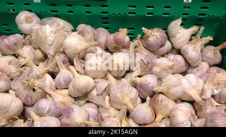 Frischer Bio-gesunder Knoblauch auf dem Lebensmittelmarkt. Knoblauchgemüse. Stockfoto