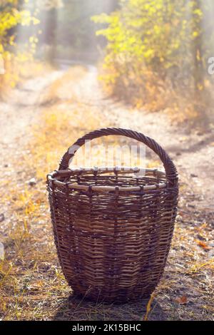 Ein leerer Korbkorb auf einem sandigen Weg im Herbstwald. Selektiver Fokus Stockfoto