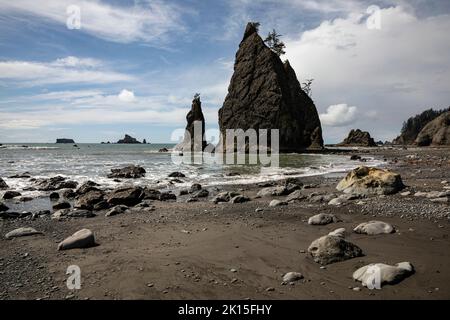 WA22026-00...WASHINGTON - Seastack am Rialto Beach in der Nähe von Hole-in-the-Wall am Küstenabschnitt des Olympic National Park. Stockfoto