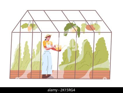 Frau im Gewächshaus Pflanzen aus Gießkannen wässern Stock Vektor