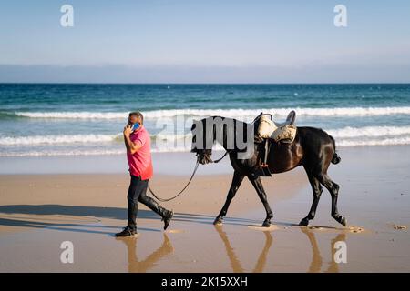 Ganzkörpermännchen in legerer Kleidung führt schwarzes Pferd mit Sattel und spricht auf dem Handy, während er am Sommertag auf nassem Sand in der Nähe des winkenden Meeres spazierengeht Stockfoto