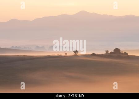 Morgennebel auf den Feldern im Dorf Ondrasova, Slowakei. Stockfoto