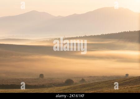 Morgennebel auf den Feldern im Dorf Ondrasova, Slowakei. Stockfoto