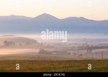 Morgennebel auf den Feldern in Ondrasova, Slowakei. Stockfoto