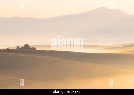 Morgennebel auf den Feldern im Dorf Ondrasova, Slowakei. Stockfoto