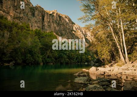 Sonnenuntergang in einem wunderschönen Fluss, umgeben von Bäumen Stockfoto