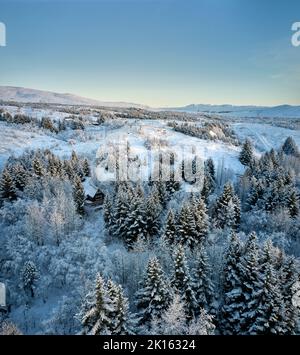 Hütte inmitten von Bäumen im Winterwald Stockfoto