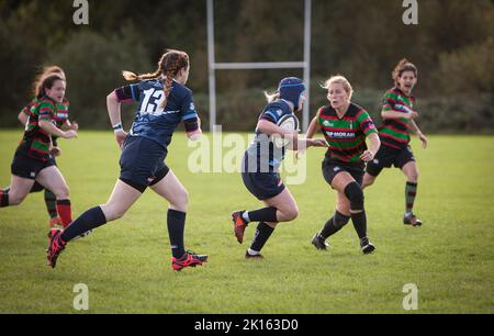 06/10/2019. WATFORD, GROSSBRITANNIEN. FRAUEN RUGBY BEI DEN FULERIANS LADIES 1ST XV DIE FULERIANS SPIELEN RUGBY GEGEN WIDDER SIRENEN LADIES BILDNACHWEIS : © RICH BOWEN FOTOGRAFIE Stockfoto