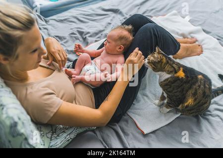 Entzückende tabby Katze neugierig schnüffelt neue Familienmitglieder - kleine Säugling Baby Junge auf den Oberschenkeln der kaukasischen Mutter gehalten. Schlafzimmer innen. Draufsicht. Hochwertige Fotos Stockfoto