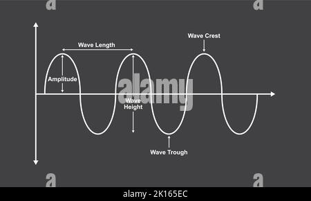 Basiseigenschaften Von Wave. Die Teile Der Welle. Vektorgrafik. Stock Vektor