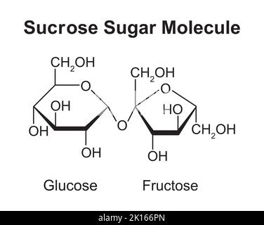 Sucrose Sugar Molecule. Glukose Und Fruktose. Vektorgrafik. Stock Vektor