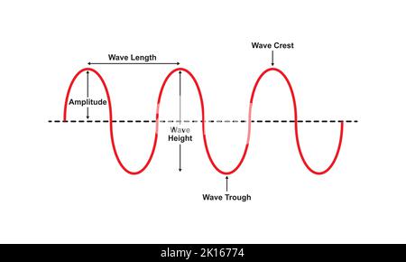 Basiseigenschaften Von Wave. Die Teile Der Welle. Vektorgrafik. Stock Vektor