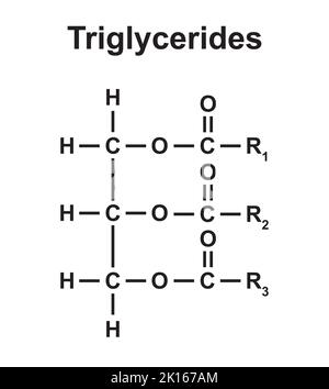 Chemische Struktur von Triglyceriden. Vektorgrafik. Stock Vektor