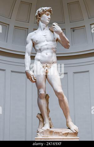 Statue von David Michelangelo berühmte Marmorskulptur in der Firenze Galleria Dell Accademia - Florenz Tourismus und Besichtigung - Michelangelos David Stockfoto