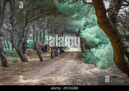 Camí de Cavalls durch Cala Pregonda. Menorca. Spanien. Stockfoto