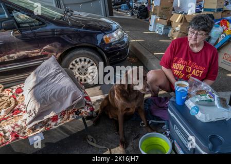 Rocklin, Kalifornien, USA. 15. September 2022. Debi Whitaker, 67, sagte, dass sie mit ihrem Hund Samantha, 4, auf einem Kinderbett auf einem Parkplatz am Sierra College geschlafen habe, das am Donnerstag, dem 15. September 2022, für Mosquito-Feuerevakuierte in Rocklin eingerichtet wurde. Sie sagte, dass sie zwei weitere Hunde in einem Tierheim hat, aber Samantha war zu nervös wegen der Evakuierung und sie musste sie in der Nähe halten. „Ich hoffe, dass wir bald nach Hause kommen“, sagte Whitaker. (Bild: © Renée C. Byer/ZUMA Press Wire) Stockfoto