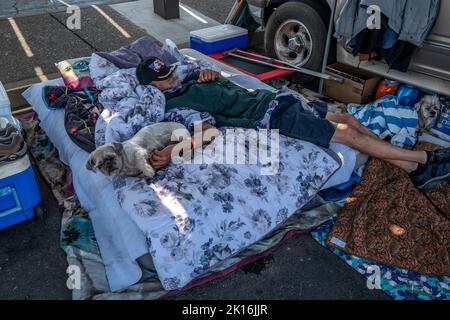 Rocklin, Kalifornien, USA. 15. September 2022. Derek Jones, ein Evakuierte aus dem Forrest Hill Mobile Home Park in Auburn, schlief auf einer Matratze neben seinen beiden Hunden Colonel Nelson, 15, und Rosco P. Coltran, 20, rechts, Und dabei zu helfen, Vorräte für andere Evakuierte von Moskitofeuern zu bekommen, sagte er, als er sich am Donnerstag, dem 15. September 2022, auf Parkplatz B des Sierra College in Rocklin ausruhte. „Ich habe mir nichts für mich selbst gezuschnappt. Ich packte meine Welpen und alles, was sie brauchten“, sagte Jones. Jones sagte, er bleibe lieber mit seinen Hunden auf dem Parkplatz statt im Roten Kreuz, weil er nicht Sep sein wolle Stockfoto