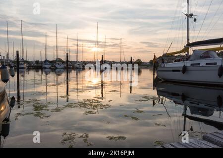 Fehmarn - Hafen von Burgtiefe - Ein ruhiger Yachthafen bei Sonnenuntergang mit verankerten Segelbooten, die sich auf ruhigem Wasser spiegeln, umgeben von einer friedlichen Landschaft. Stockfoto