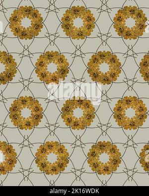 Muster aus getrockneten gepressten Blumen beige Hintergrund. Botanische Elemente für Scrapbooking oder Dekorationskunst Stockfoto