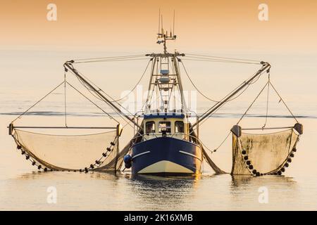 Fischerboot auf der Nordsee Fische mit Schleppnetz, Schleswig-Holstein, Deutschland Stockfoto