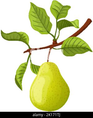 Birne grüne Cartoon-Vektor-Illustration Stock Vektor