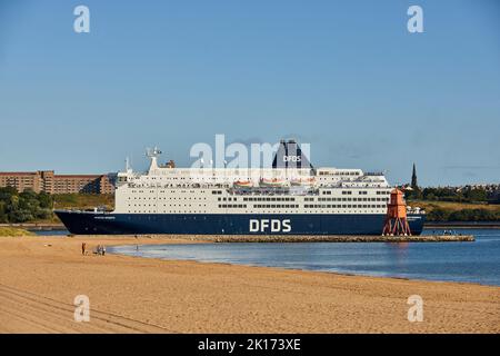 Littlehaven Beach South Shield MS Princess Seaways Cruiseferry Danish DFDS Seaways North Shields, England, IJmuiden Niederlande Stockfoto