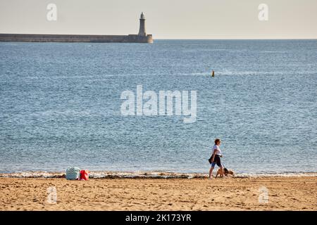 Hundewanderer auf Littlehaven Beach South Shields Stockfoto