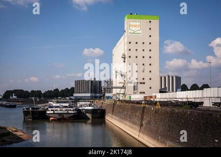 RWZ-Getreidesilo am Rheinhafen Niehl, Lagerplatz, Köln, Deutschland. RWZ Getreidesilo im Hafen Niehl, Lagerhauskai, Köln, Deutschland. Stockfoto