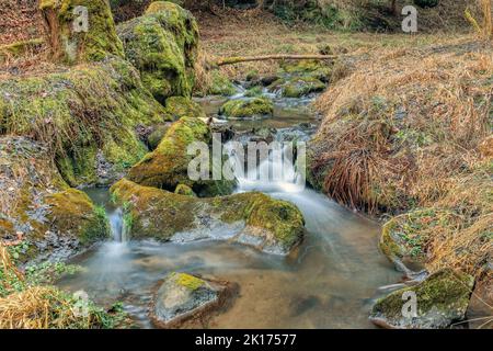 Kleiner Waldbach in einem Wald, Langzeitbelichtung Foto, Vysocina, Highland Tschechien, Europa Stockfoto
