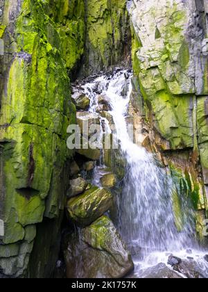 Spektakuläre Aussicht auf einen Wasserfall auf einem Gletscher. Die Vogelklippe Alkefjellet ist die berühmteste Klippe des Spitzbergen-Archipels. Hinloopen Fjord, Spitzbergen. Stockfoto