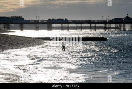 Brighton UK 16. September 2022 - früh morgens schwimmen Schwimmer an einem hellen sonnigen, aber kühlen Tag in Brighton, da die Temperaturen in den nächsten Tagen in Großbritannien voraussichtlich sinken werden : Credit Simon Dack / Alamy Live News Stockfoto