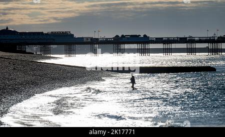 Brighton UK 16. September 2022 - früh morgens schwimmen Schwimmer an einem hellen sonnigen, aber kühlen Tag in Brighton, da die Temperaturen in den nächsten Tagen in Großbritannien voraussichtlich sinken werden : Credit Simon Dack / Alamy Live News Stockfoto