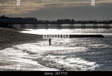 Brighton UK 16. September 2022 - früh morgens schwimmen Schwimmer an einem hellen sonnigen, aber kühlen Tag in Brighton, da die Temperaturen in den nächsten Tagen in Großbritannien voraussichtlich sinken werden : Credit Simon Dack / Alamy Live News Stockfoto