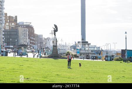 Brighton UK 16. September 2022 - auf dem Hove Rasen in Brighton ist das Gras wieder grün geworden, nachdem sich der Regen vor kurzem erholt hat. Monate ohne Regen während der sommerlichen Hitzewelle und Dürre hatten das Gras gelb ausgetrocknet, aber es ist jetzt wieder grün . : Credit Simon Dack / Alamy Live News Stockfoto