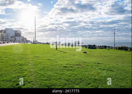 Brighton UK 16. September 2022 - auf dem Hove Rasen in Brighton ist das Gras wieder grün geworden, nachdem sich der Regen vor kurzem erholt hat. Monate ohne Regen während der sommerlichen Hitzewelle und Dürre hatten das Gras gelb ausgetrocknet, aber es ist jetzt wieder grün . : Credit Simon Dack / Alamy Live News Stockfoto