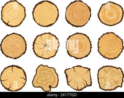 Querschnitt des Baumstamms. Runde Kiefernstämme, Waldholzkreis und Baumringe Vektor-Illustrationsset Stock Vektor