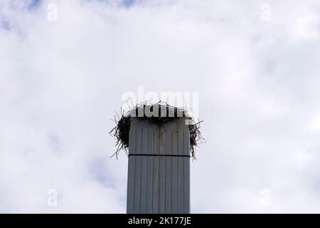 Nahaufnahme leeres Storchennest auf Einem Kirchturm in Amsterdam Niederlande 15-9-2022 Stockfoto