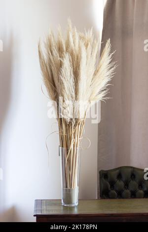 Pampas Gras in Glasvase an der Wand. Stillleben Bouquet von getrockneten Blumen auf Stein Hintergrund mit Copy Space - Bild Stockfoto