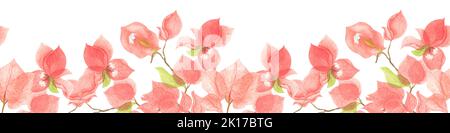 Nahtlose Grenze von roten Bougainvillea Blumen. Aquarell botanische Illustration. Exotische rote Blumen auf weißem Hintergrund. Stockfoto