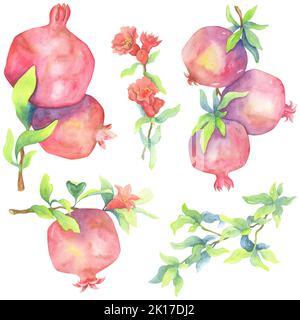 Granatäpfel Aquarell Set. Sonnige Früchte, rote Blüten und grüne Blätter. Handgezeichnete Illustration zum Erstellen von Mustern, Kompositionen, Drucken. Stockfoto